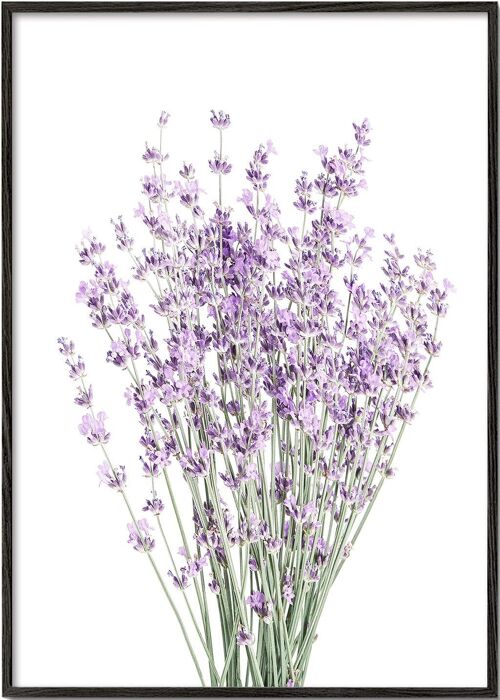 Tableau Lavender