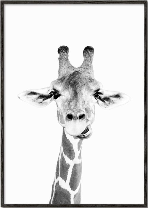 Tableau Baby giraffe