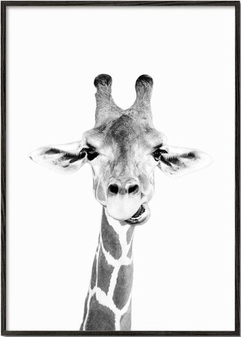 Tableau Bébé Girafe 1
