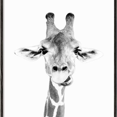 Tableau Baby giraffe