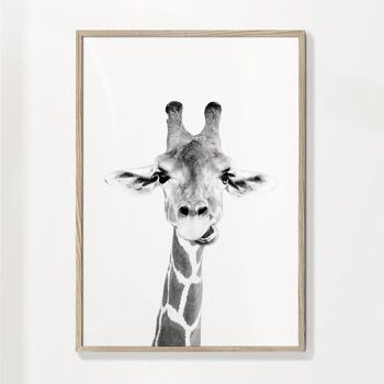 Tableau Bébé Girafe 5