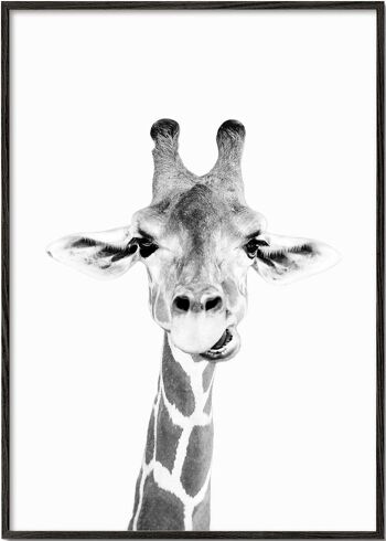 Tableau Bébé Girafe 6