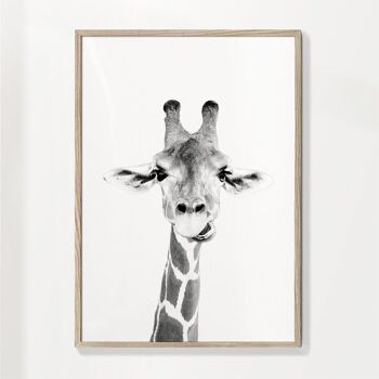 Tableau Bébé Girafe 9