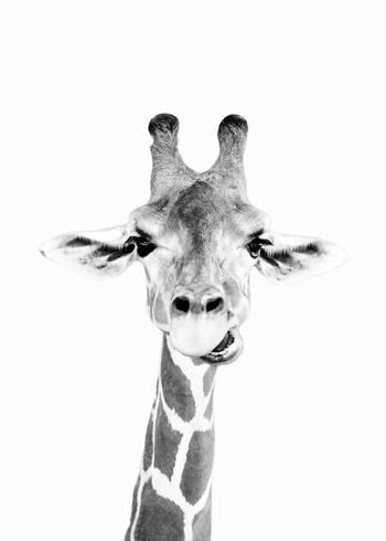 Tableau Bébé Girafe 15