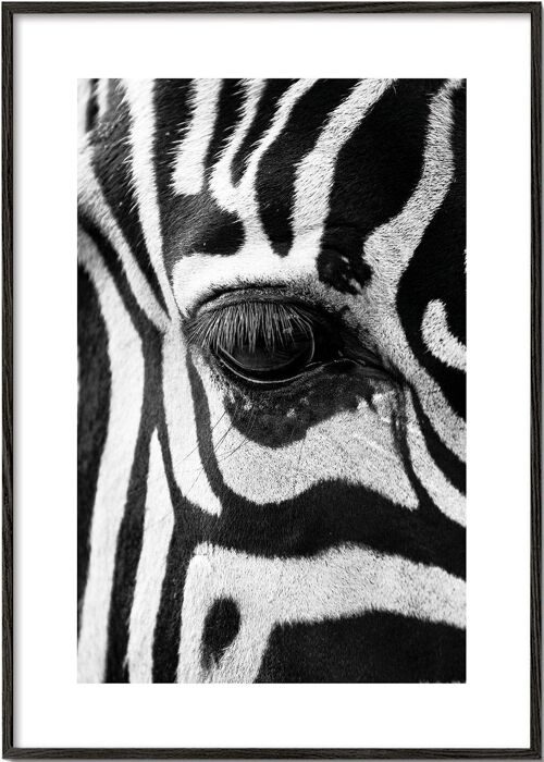 Tableau Zebra focus