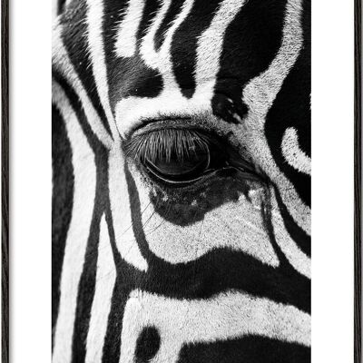 Tableau Zebra focus