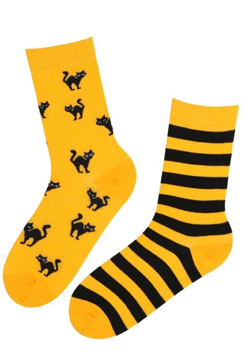 SCAREDY-CAT striped Halloween socks with a yellow cat