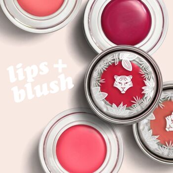 Pack Maquillage Lèvres & Joues - 15 produits LIPS+BLUSH 2