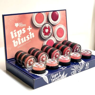 Lips & Cheeks Makeup Pack - 15 LIPS+BLUSH products