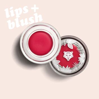 Pack Maquillage Lèvres & Joues - 15 produits LIPS+BLUSH 4