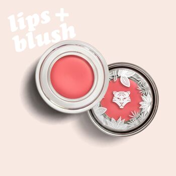 Pack Maquillage Lèvres & Joues - 15 produits LIPS+BLUSH 5