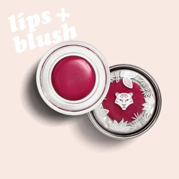 Pack Maquillage Lèvres & Joues - 15 produits LIPS+BLUSH 3