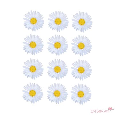 Daisies wall stickers
