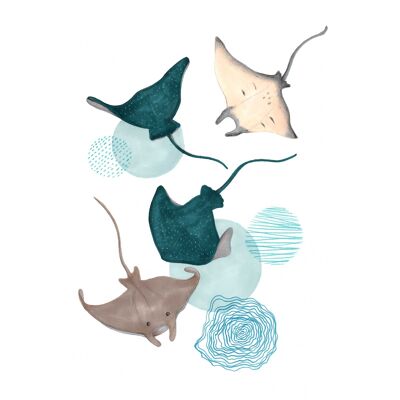 A4-Blatt Meerestier „Manta Rays“