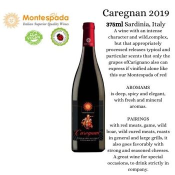Montespada Sarde Caregnan IGT 375ml Millésime 2019 Vegan 2