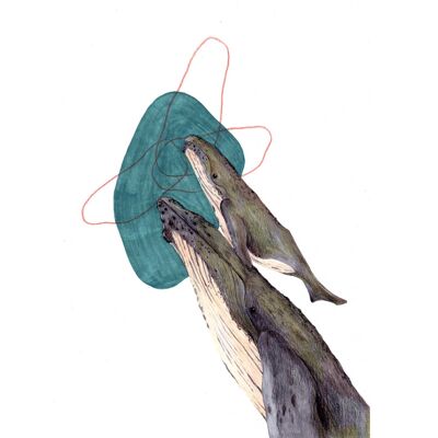 A4-Blatt Meerestier „Blauwal“