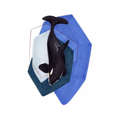 A4-Blatt Meerestier „Orca“