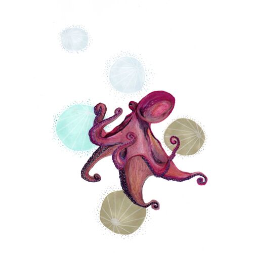 Lámina A4 Animal del mar "Octopus"