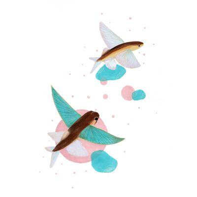 A4-Blatt Meerestier „Fliegender Fisch“