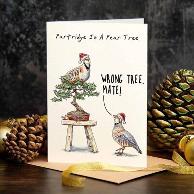 Partridge Christmas Card - Holiday Card - Christmas Card