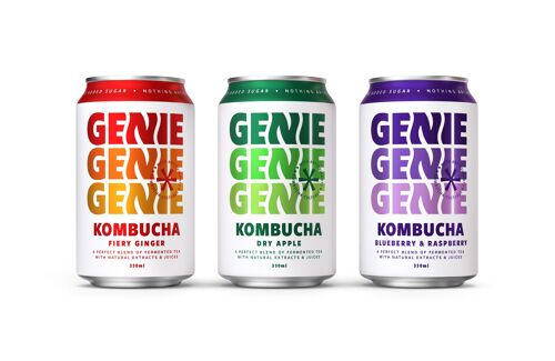 Mixed Case Kombucha cans
