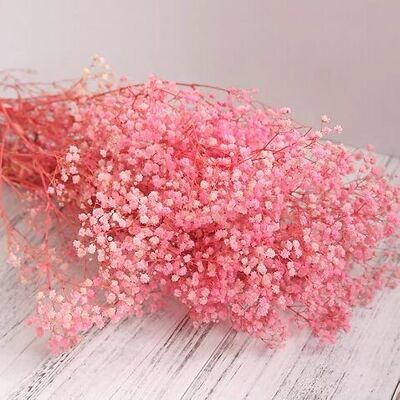 Preserved gypsophila - pink