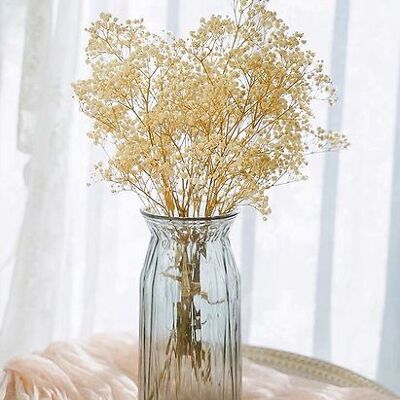 stabilized gypsophila - ivory white