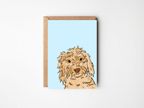 Cockerpoo - Fun, Bright Dog Card for any occasion