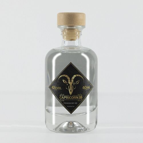 Capricorn26 Dry Gin 40ML