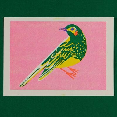 Honey Eater Print