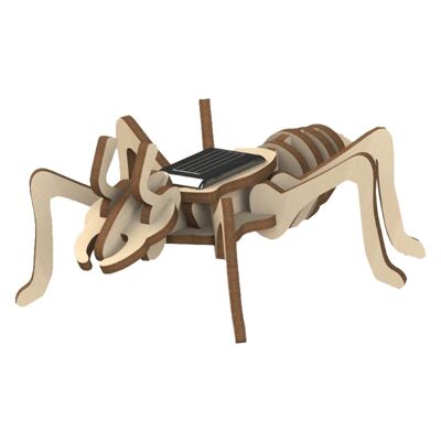 Kit decorativo solare con formica in legno in movimento