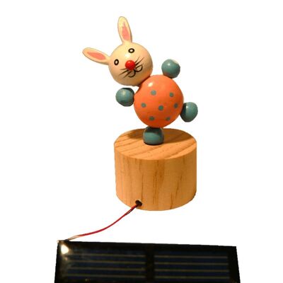 Piccolo coniglio con moto perpetuo solare