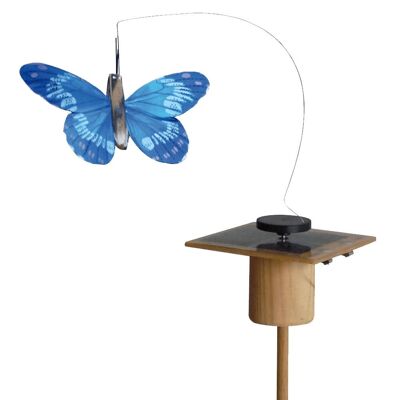 Farfalla in volo animata dalla luce solare