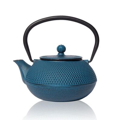 Blue Tenshi Cast Iron Teapot 600ml