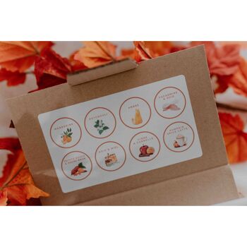 Coffret de fondants parfumés AUTUMN EDITION 4