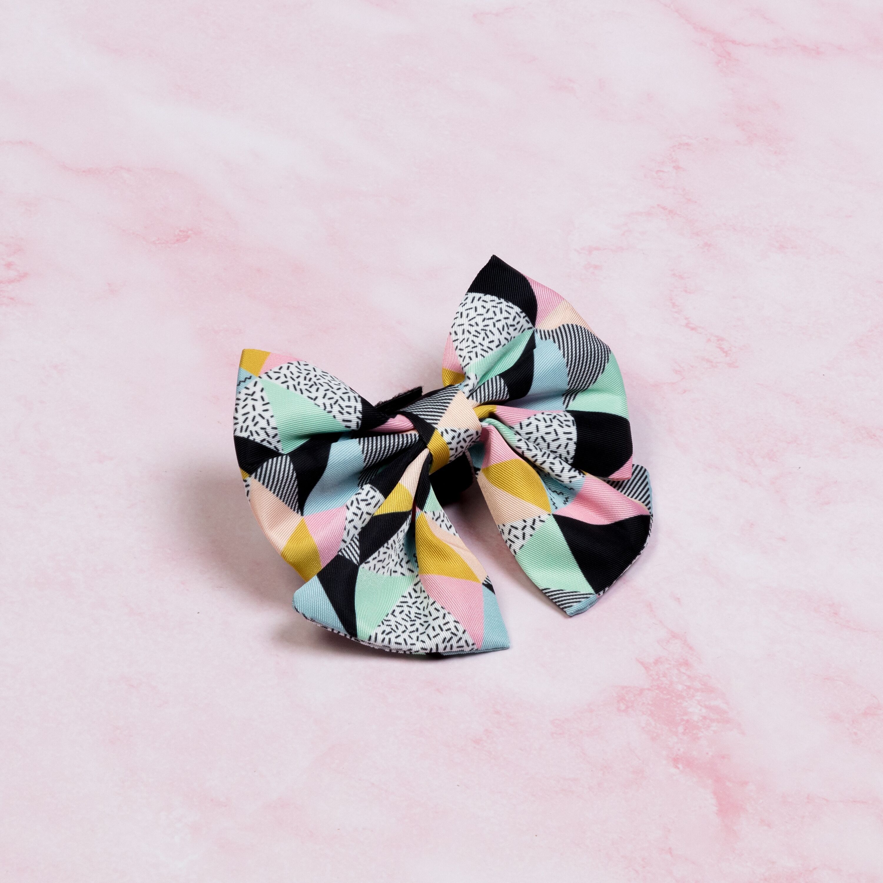 Papillon Cane Marinaio - Mykonos