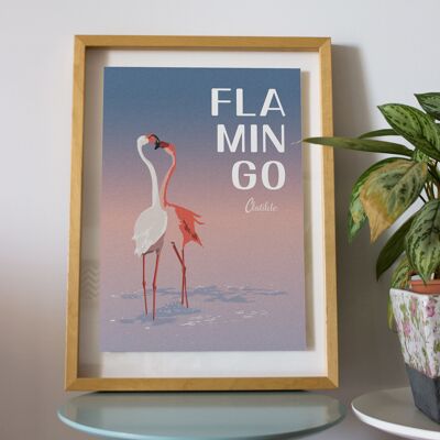 Flamingo