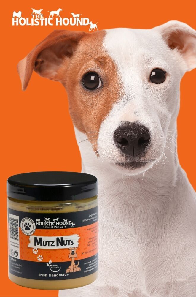 Buy wholesale Mutz Nutz 100 Organic Peanut Butter