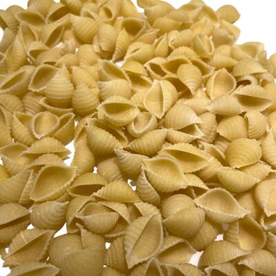 Plain French artisanal pasta - Conchiglie - Bulk 1kg