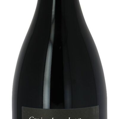 Vin rouge AOP Languedoc Pézenas BIO - Grain de Volcan 2020