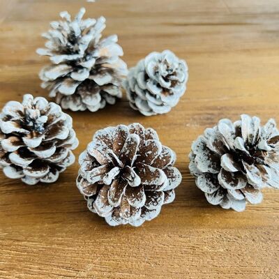 Pine cones (50-90 mm), 600 ml, white