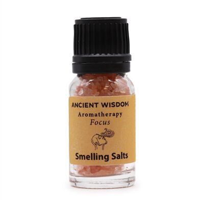 SSalt-02 - Focus Aromatherapy Smelling Salt - Sold in 10x unit/s per outer