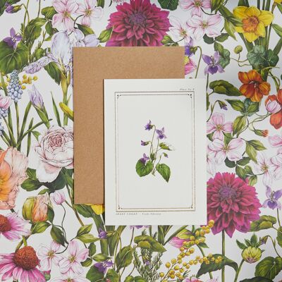 Sweet Violet - 'The Botanist Archive: Everyday Edition' - Tarjeta