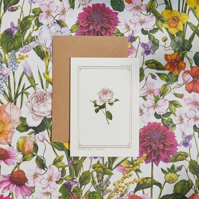 Rose - 'The Botanist Archive: Everyday Edition' - Tarjeta