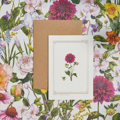 Dahlia - 'The Botanist Archive : Everyday Edition' - Card