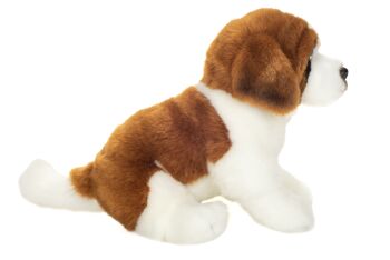 Saint Bernard assis 25 cm 3