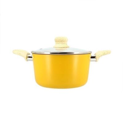 Saffron stewpot 20cm in induction aluminum with glass lid