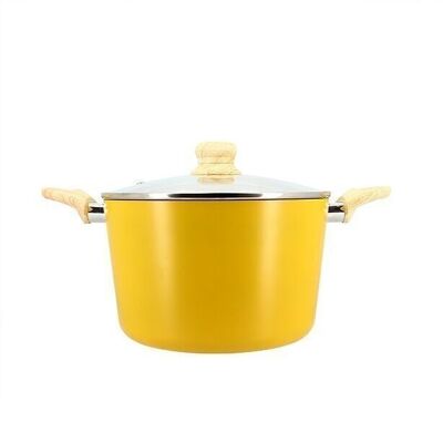 24cm saffron induction aluminum stewpot with glass lid