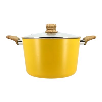 24cm saffron induction aluminum stewpot with glass lid