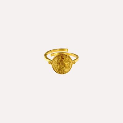 Piccolo anello con moneta romana